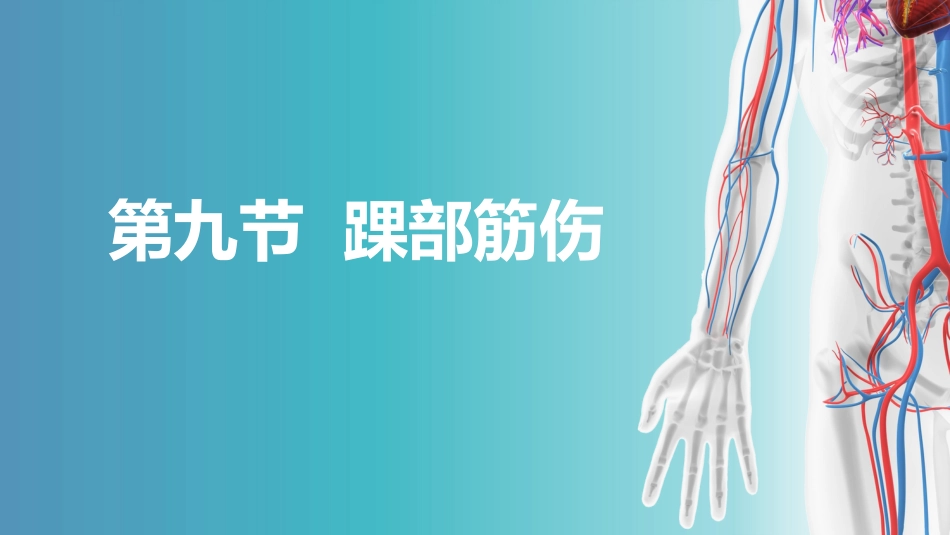 筋伤-踝部筋伤(中医骨伤科学十三五教材)_第1页