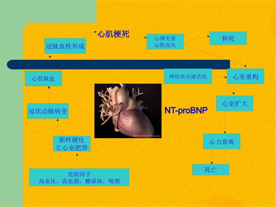 冠心病的中医药防治(共32张PPT)_第7页