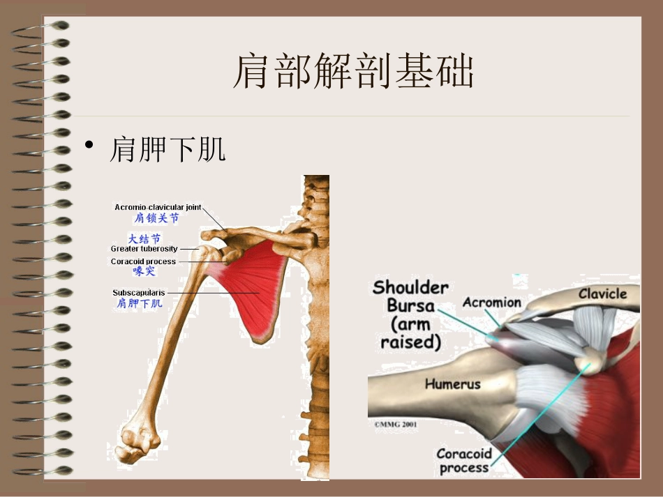 肩周炎的中医辨证治疗PPT课件_第11页