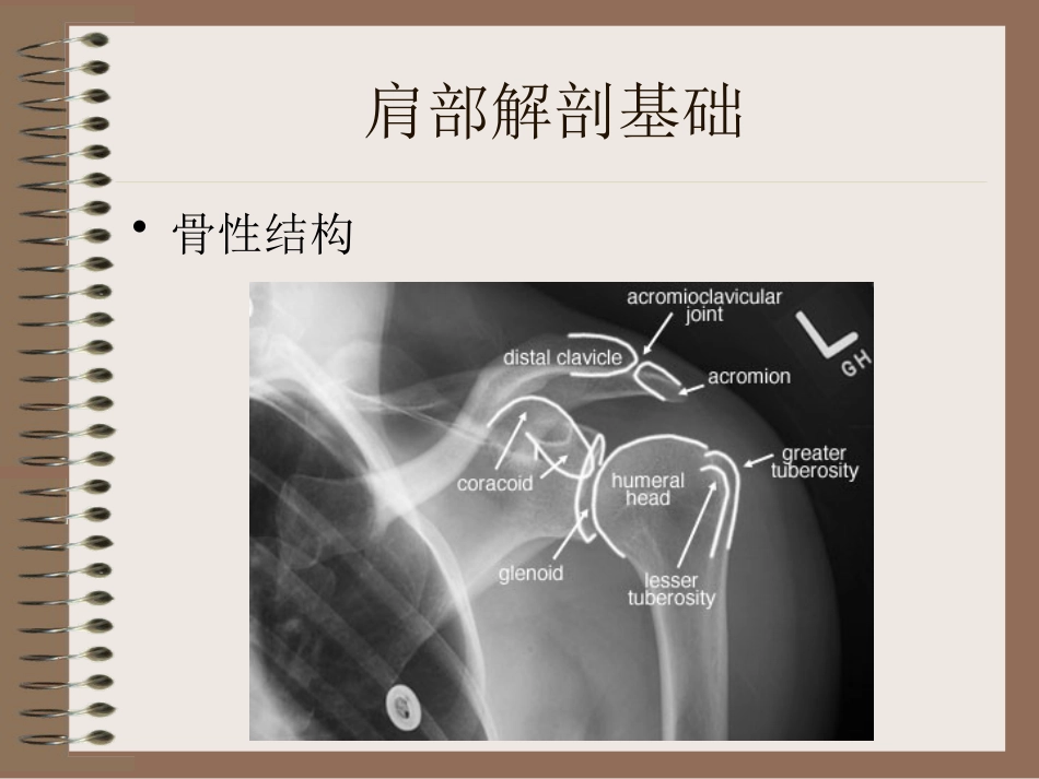 肩周炎的中医辨证治疗PPT课件_第5页