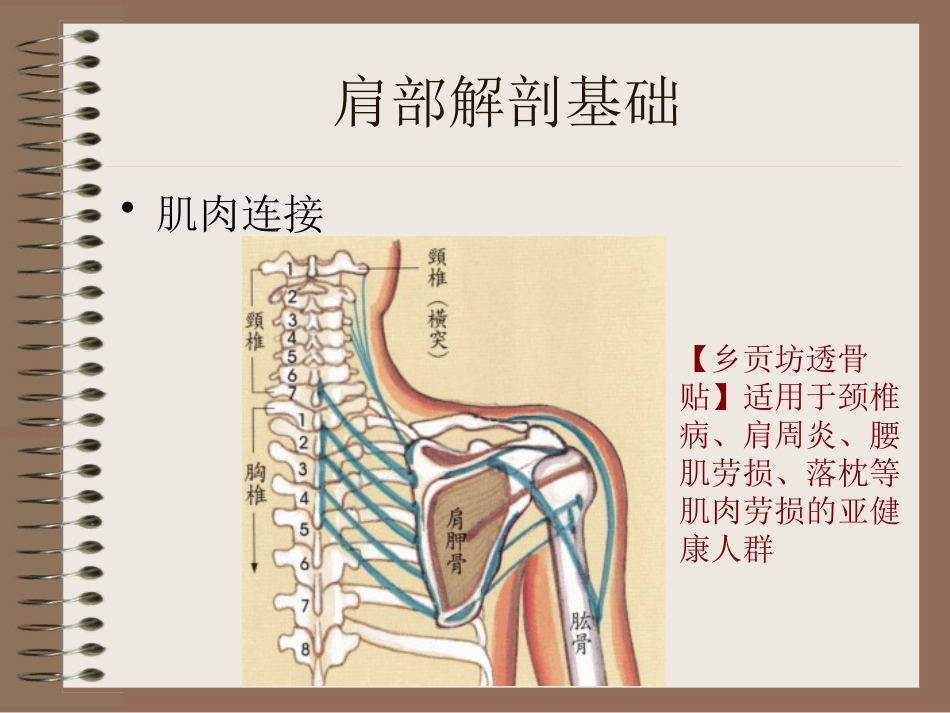 肩周炎的中医辨证治疗PPT课件_第6页