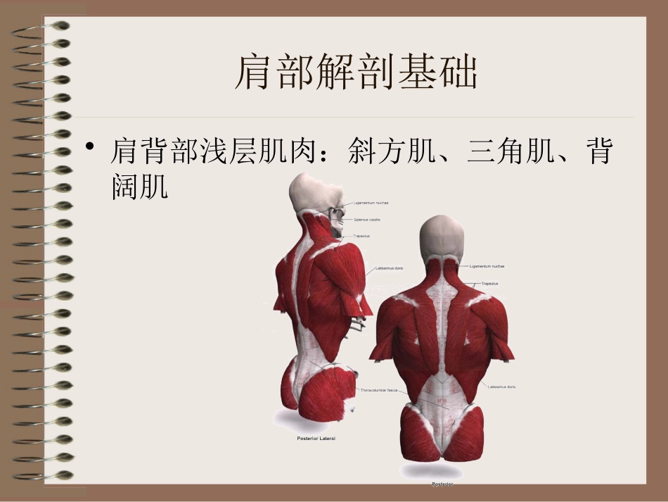 肩周炎的中医辨证治疗PPT课件_第7页