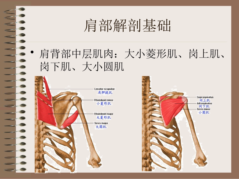 肩周炎的中医辨证治疗PPT课件_第9页