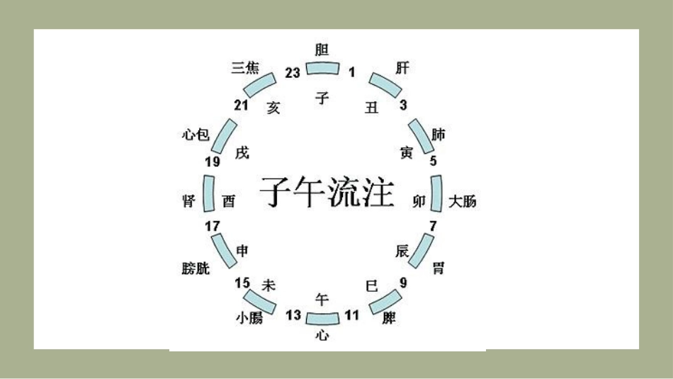中医养生：中医子午流注与养生防病_第3页