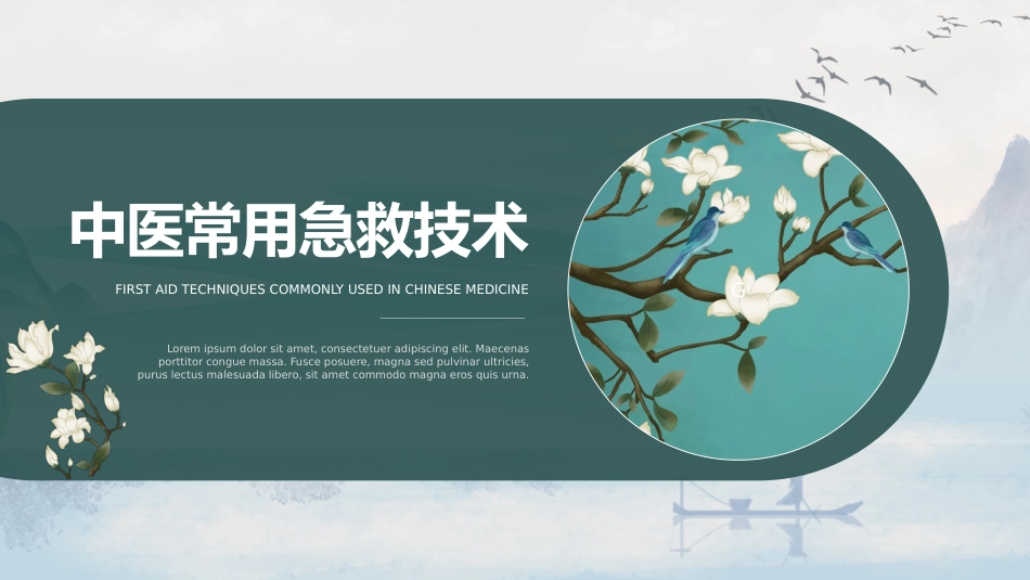 中医治疗：中医常用急救技术（刮诊、放血、急救方剂）_第1页