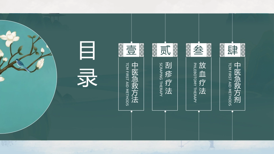 中医治疗：中医常用急救技术（刮诊、放血、急救方剂）_第2页