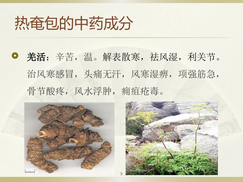 中医治疗：热奄包的临床应用_第5页