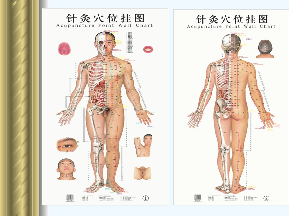 经络 常用穴位_第8页