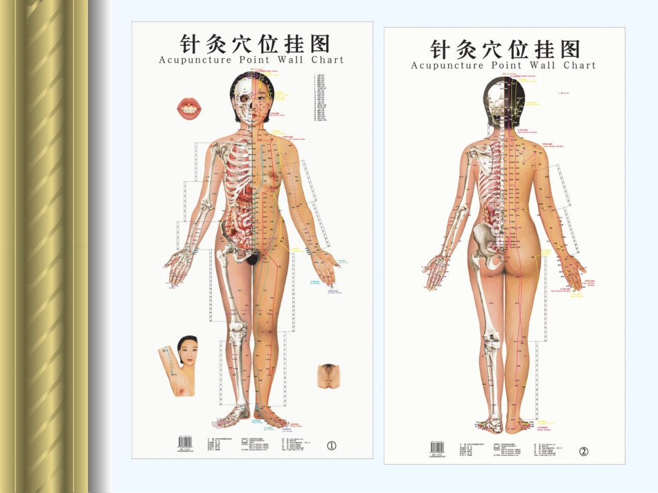 经络 常用穴位_第9页