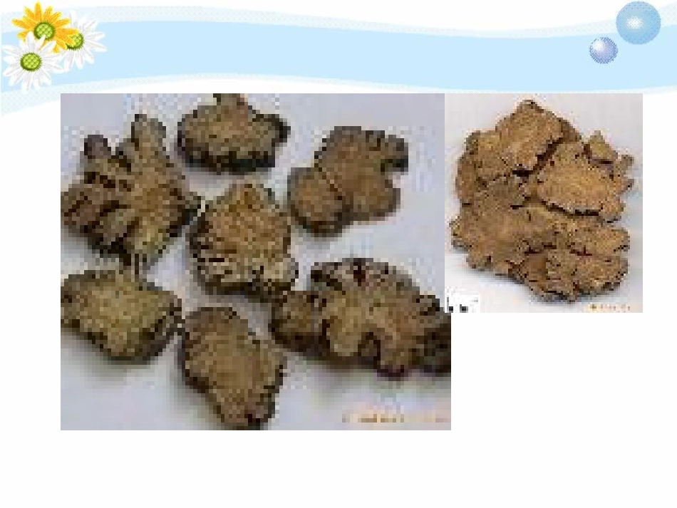 中药学——补虚药活血化瘀药_第7页