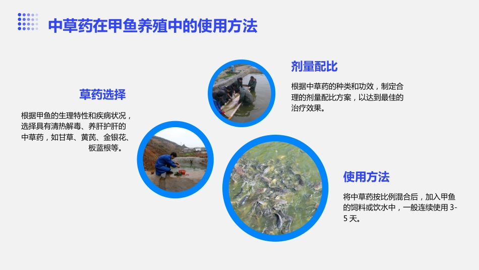 中草药防治甲鱼肝炎病_第15页