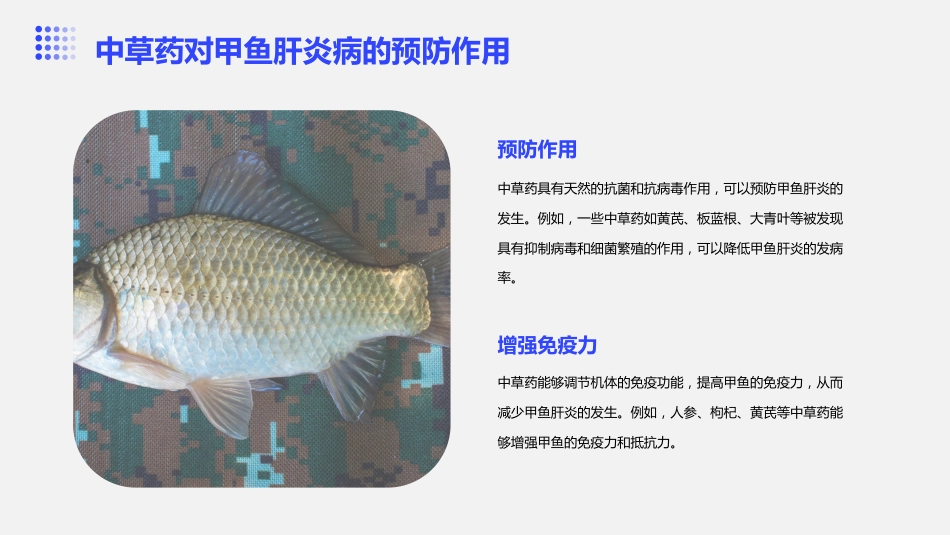 中草药防治甲鱼肝炎病_第7页