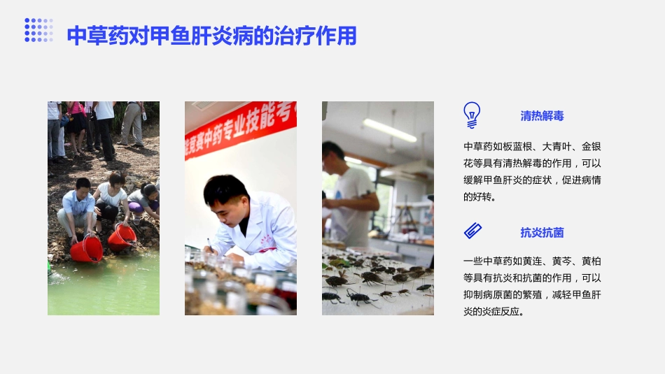 中草药防治甲鱼肝炎病_第8页