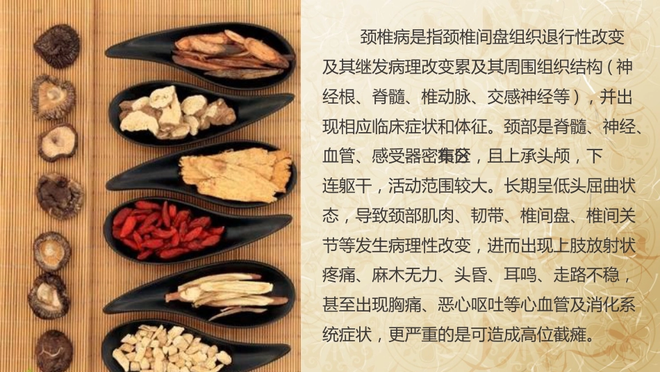 颈椎病的中医治疗_第4页