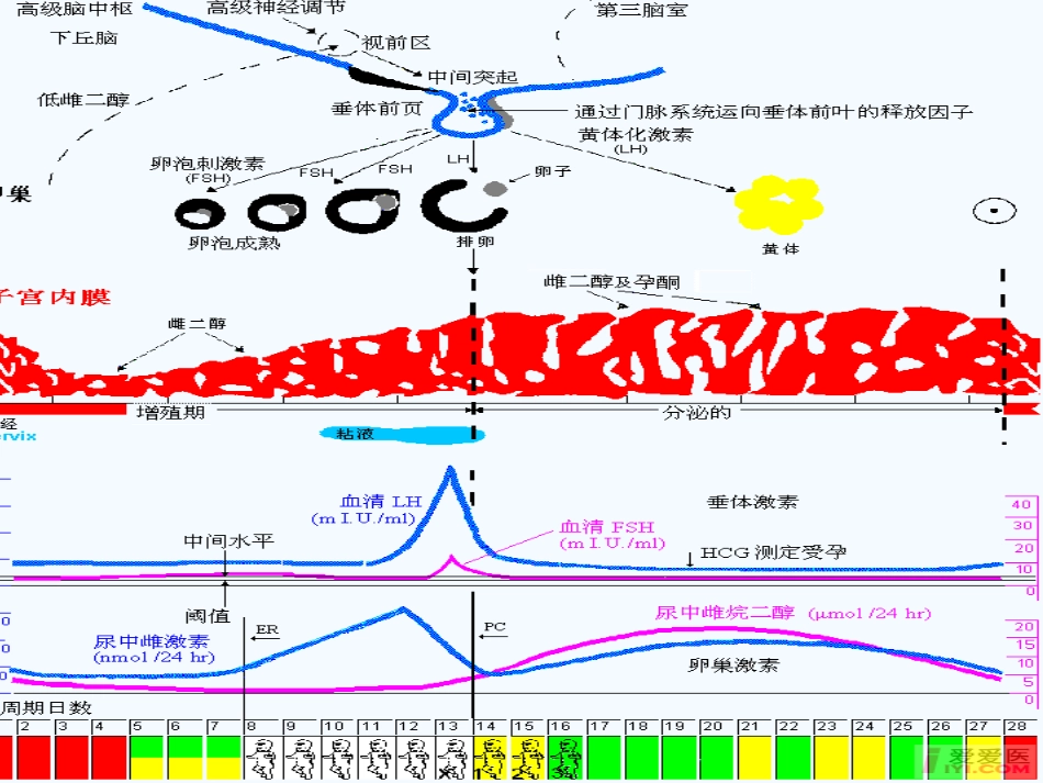 经间期出血---中医妇科学_第7页
