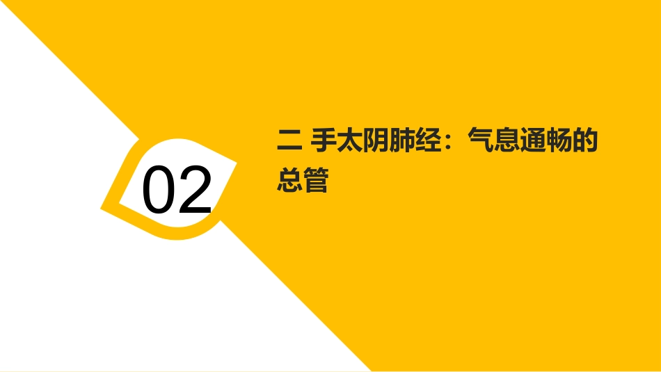 经络穴位按摩大全_第13页