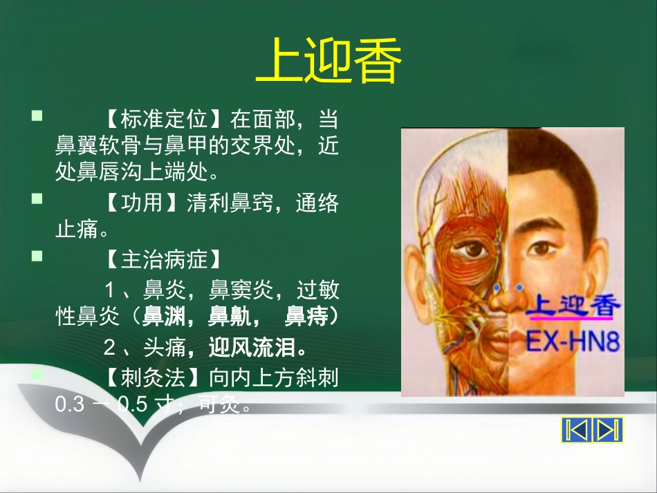 经外奇穴_第11页