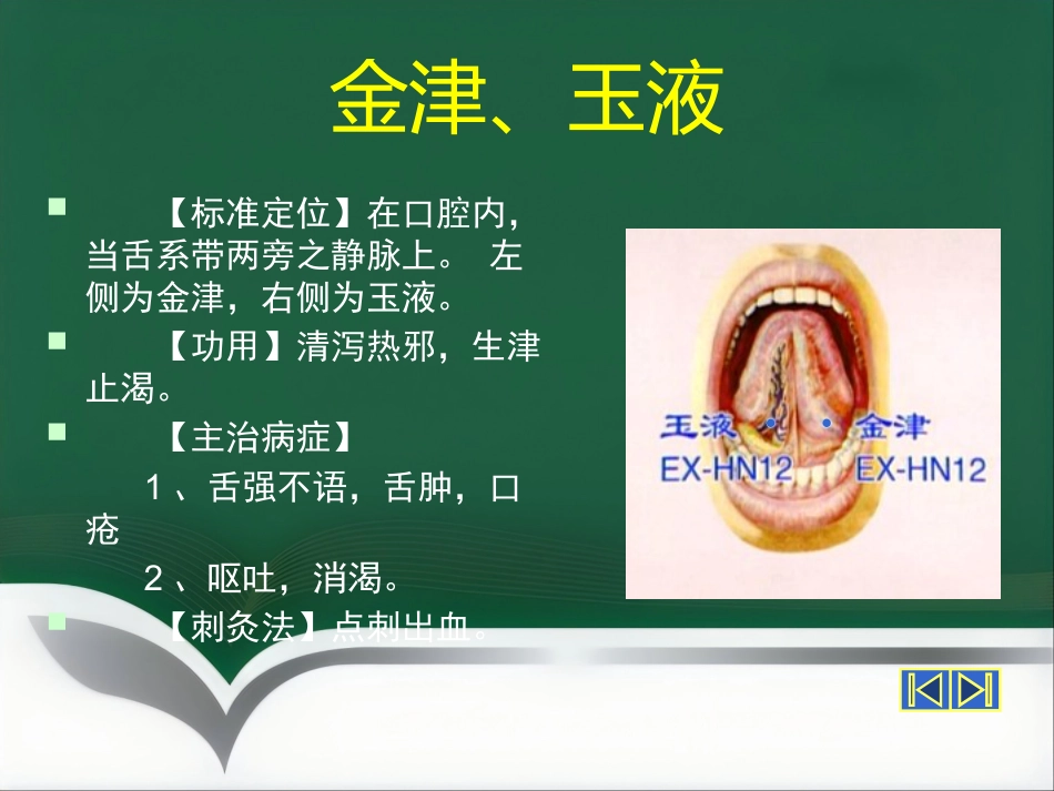 经外奇穴_第12页