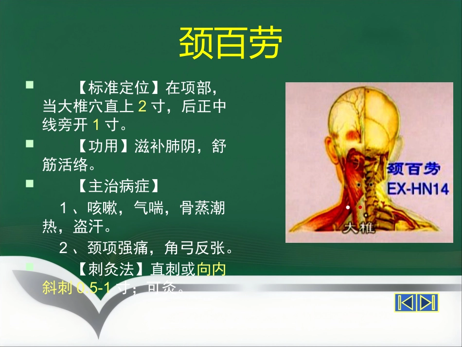 经外奇穴_第15页