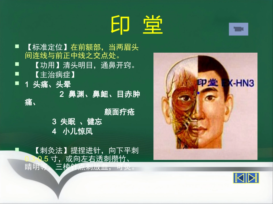 经外奇穴_第6页