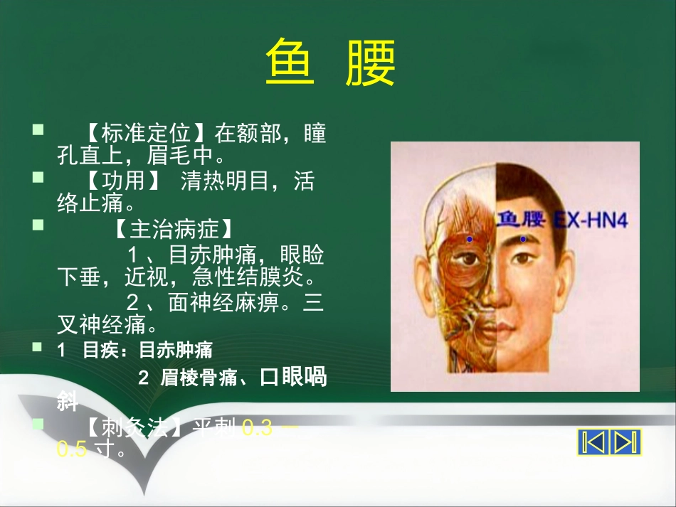 经外奇穴_第7页