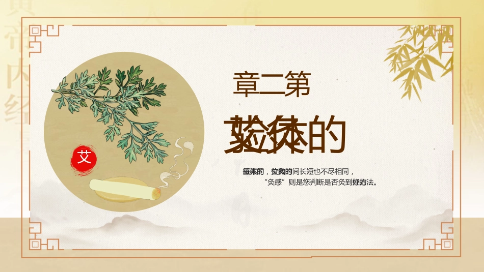 中医养生：艾灸养生 健康相伴_第6页