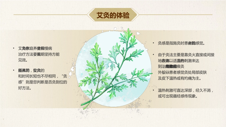 中医养生：艾灸养生 健康相伴_第7页