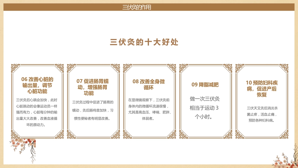 三伏灸养生-《中医疗法》专业图解风_第10页