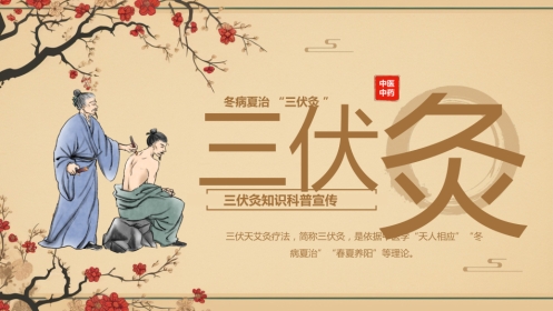三伏灸养生-《中医疗法》专业图解风