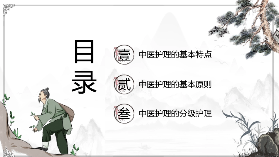 中医养生：中医养生护理_第2页