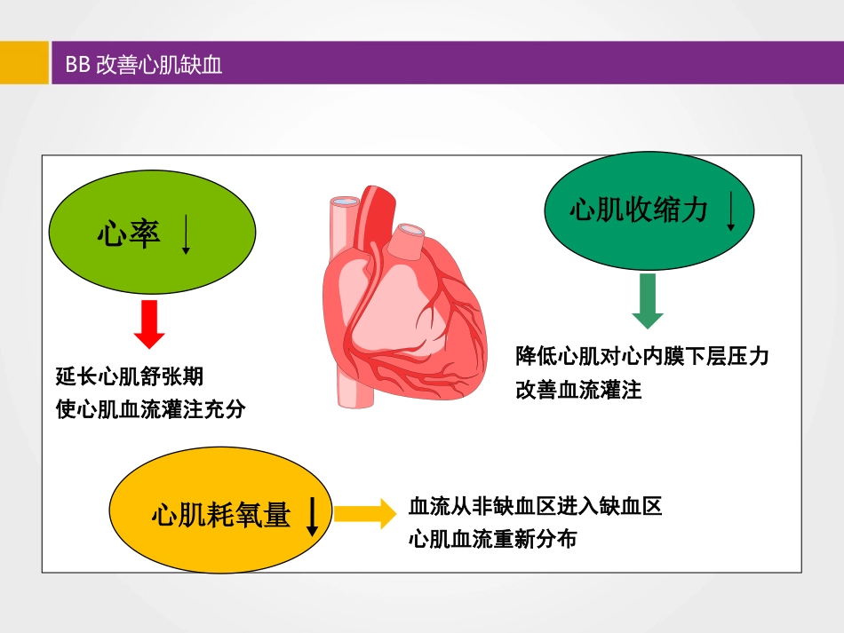 比索洛尔临床应用病例分享_第13页