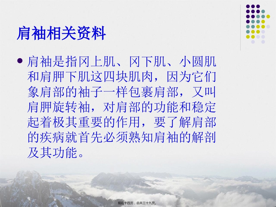肩周炎的中医推拿治疗讲课_第14页