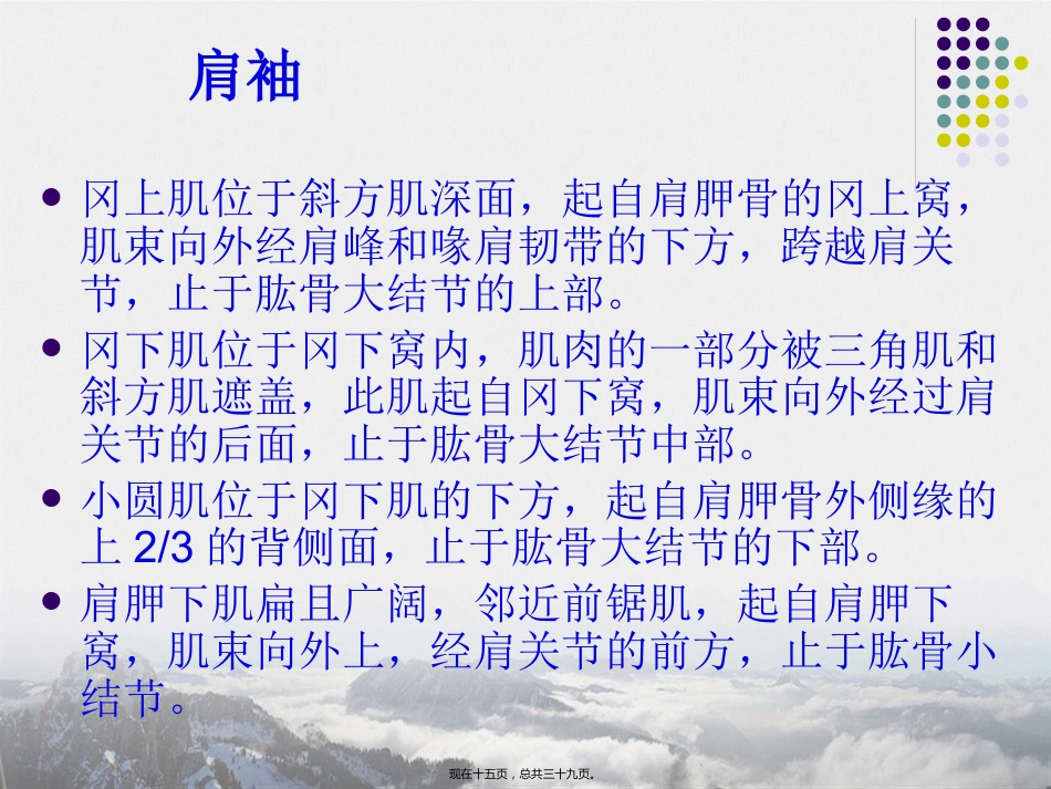 肩周炎的中医推拿治疗讲课_第15页