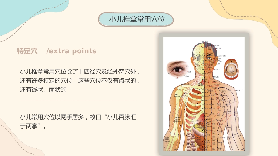 中医治疗：小儿推拿1_第14页