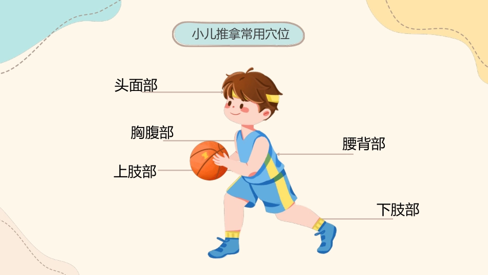 中医治疗：小儿推拿1_第15页