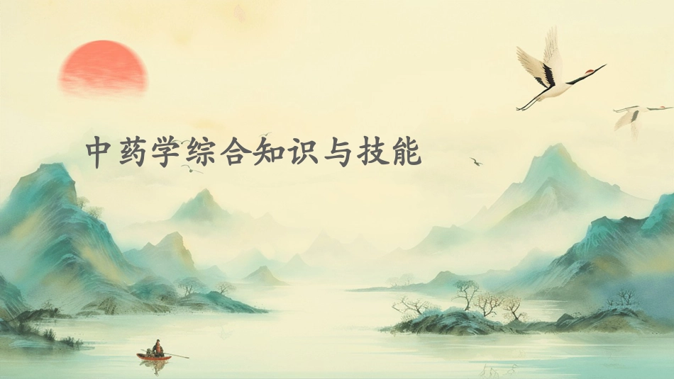 中药学综合知识与技能_第1页