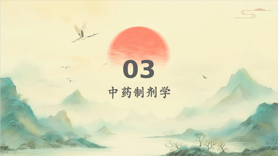 中药学综合知识与技能_第11页