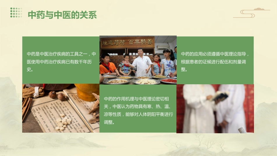 中药学综合知识与技能_第4页