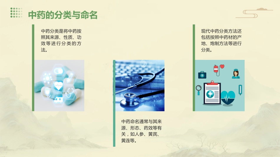中药学综合知识与技能_第5页
