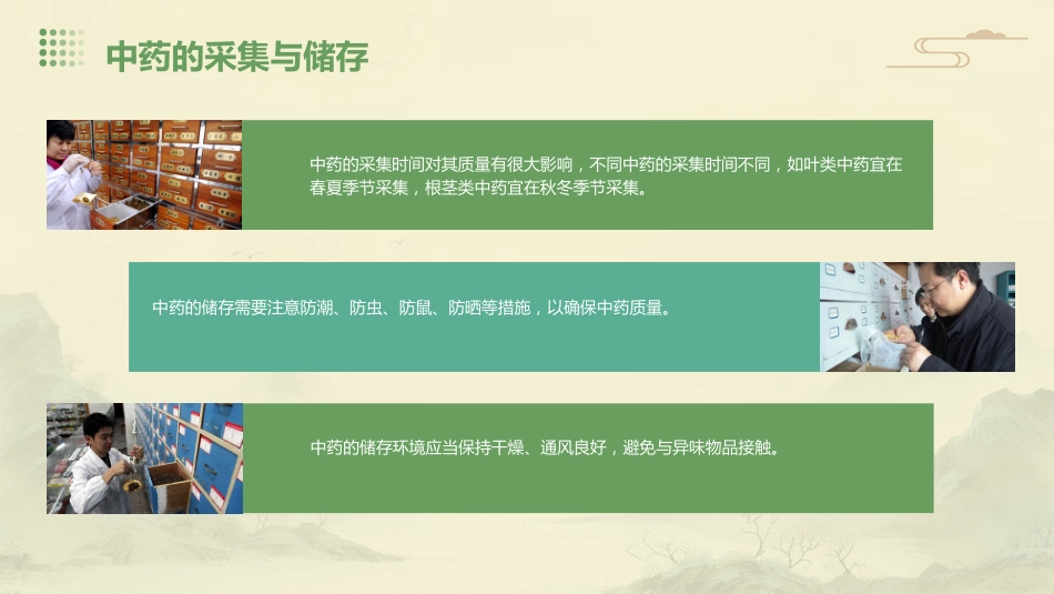 中药学综合知识与技能_第6页