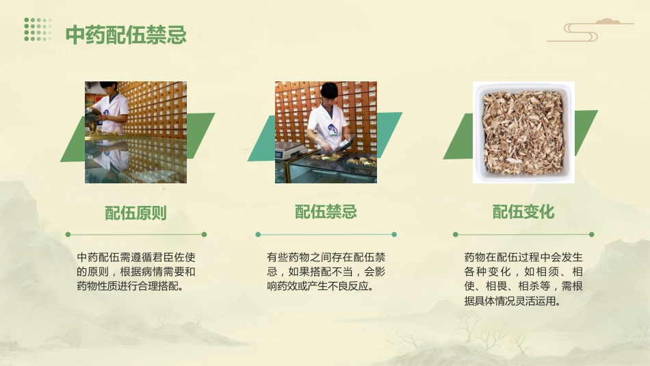 中药学综合知识与技能_第9页