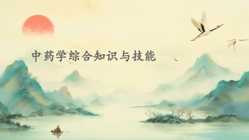 中药学综合知识与技能