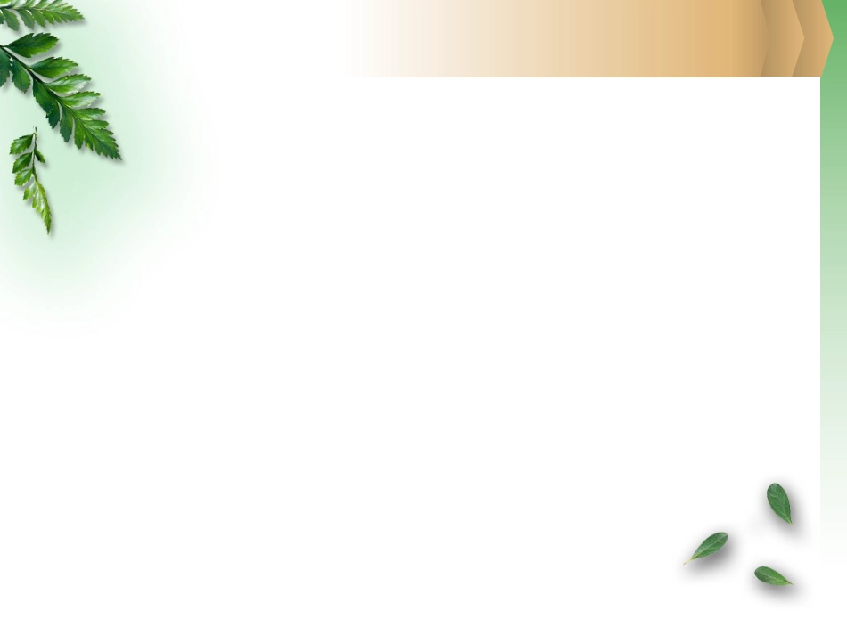 改善精神状态的中草药_第12页