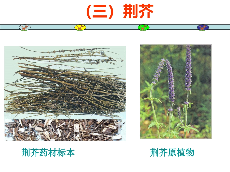 常用中草药_第14页