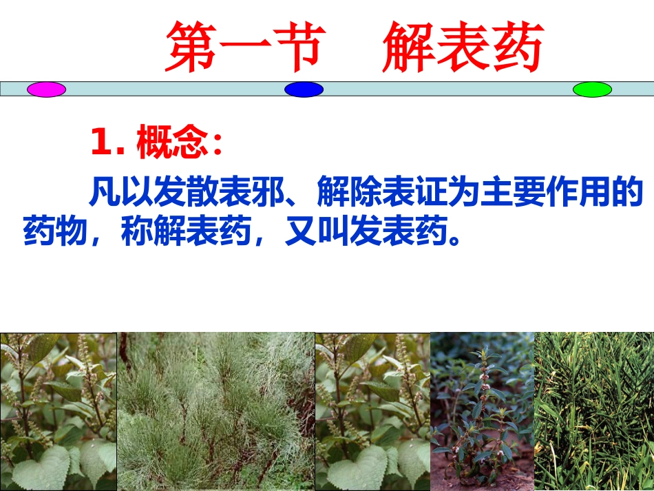 常用中草药_第4页