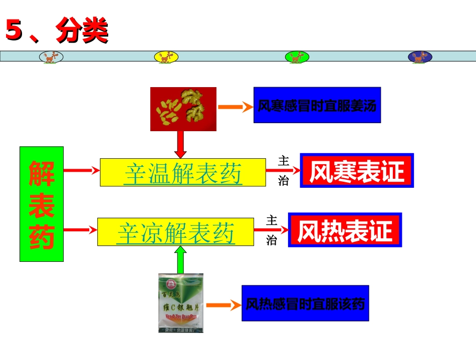 常用中草药_第8页