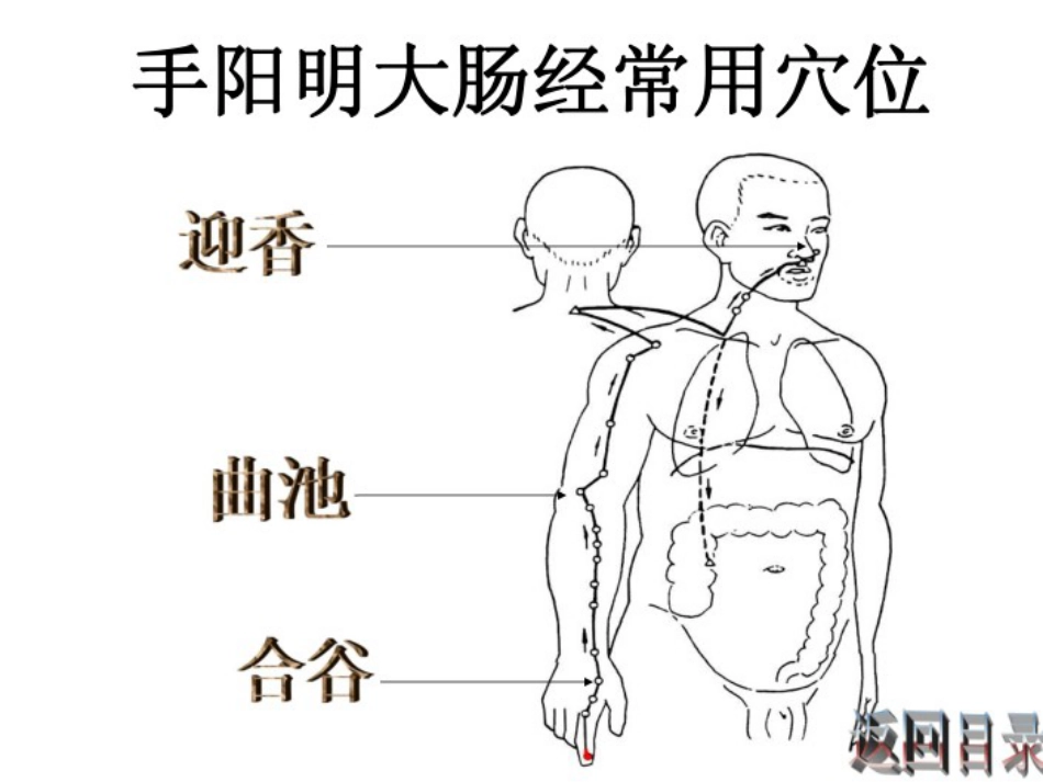 护士常用穴位系列之一_第12页