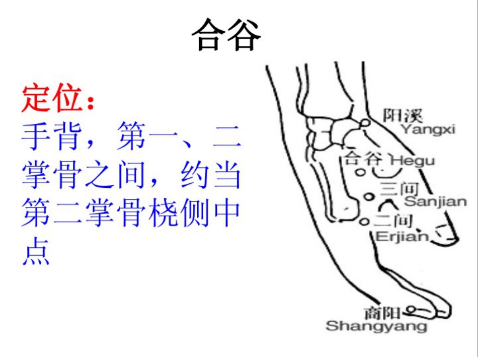 护士常用穴位系列之一_第13页