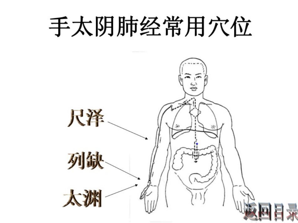 护士常用穴位系列之一_第7页