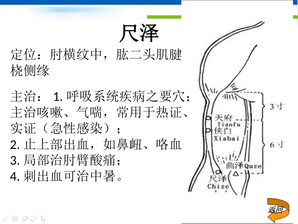 护士常用穴位系列之一_第8页